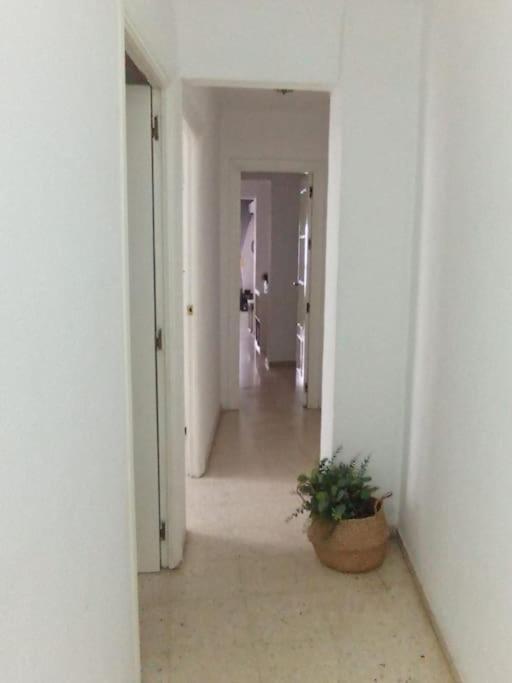 Apartamento Plaza Toros Севілья Екстер'єр фото